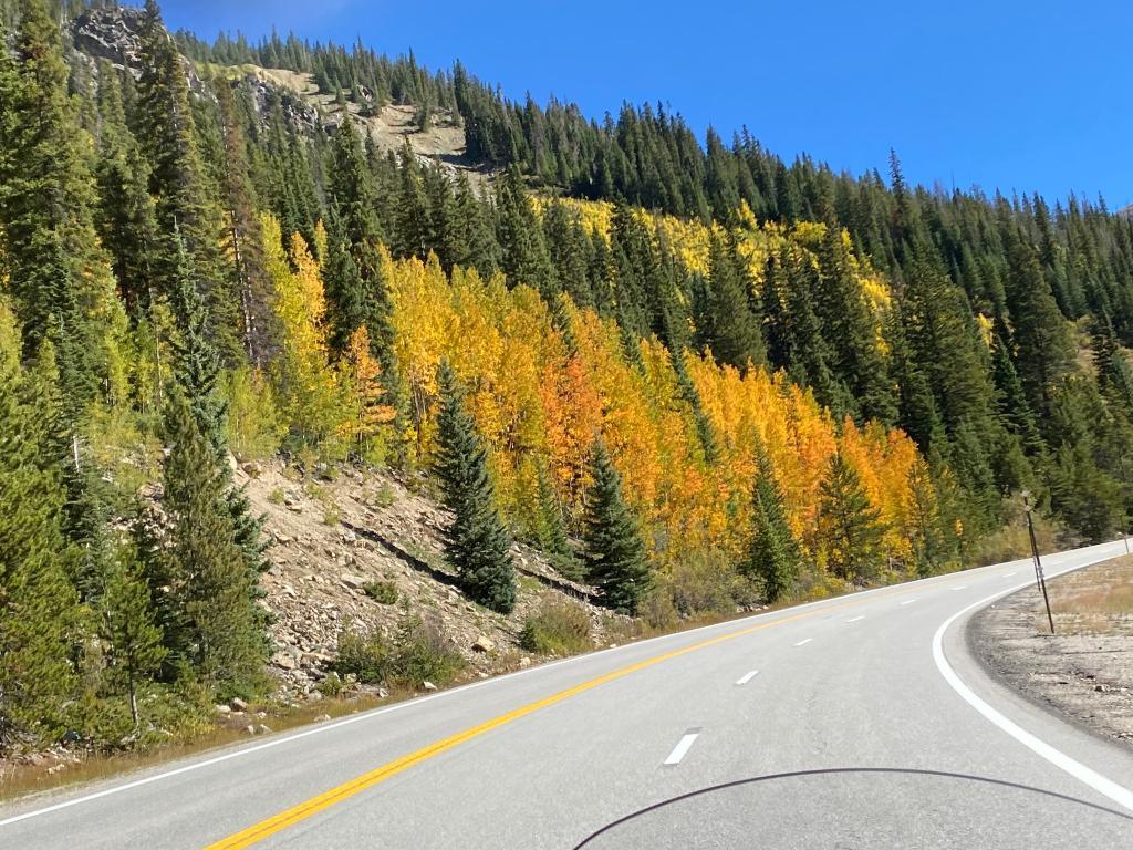 4 Pass Fall Color Sept 2022 | Denver Chapter #3188 | Golden Colorado ...